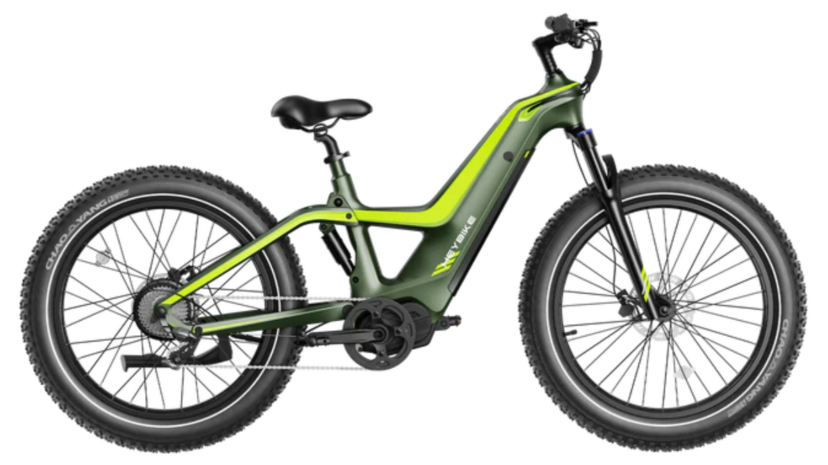 1000w ebike online